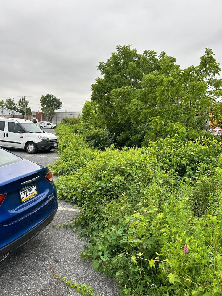 All Photos for Eric's Property Service in Conestoga, PA