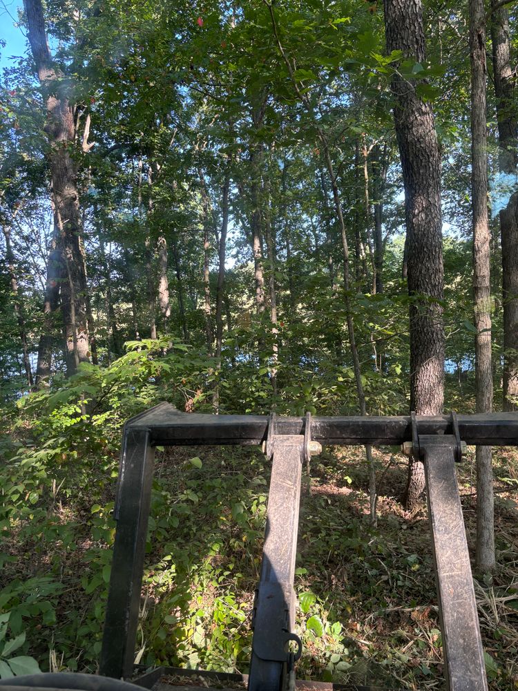 All Photos for Gregory Grass and Lawn in Lafayette, TN