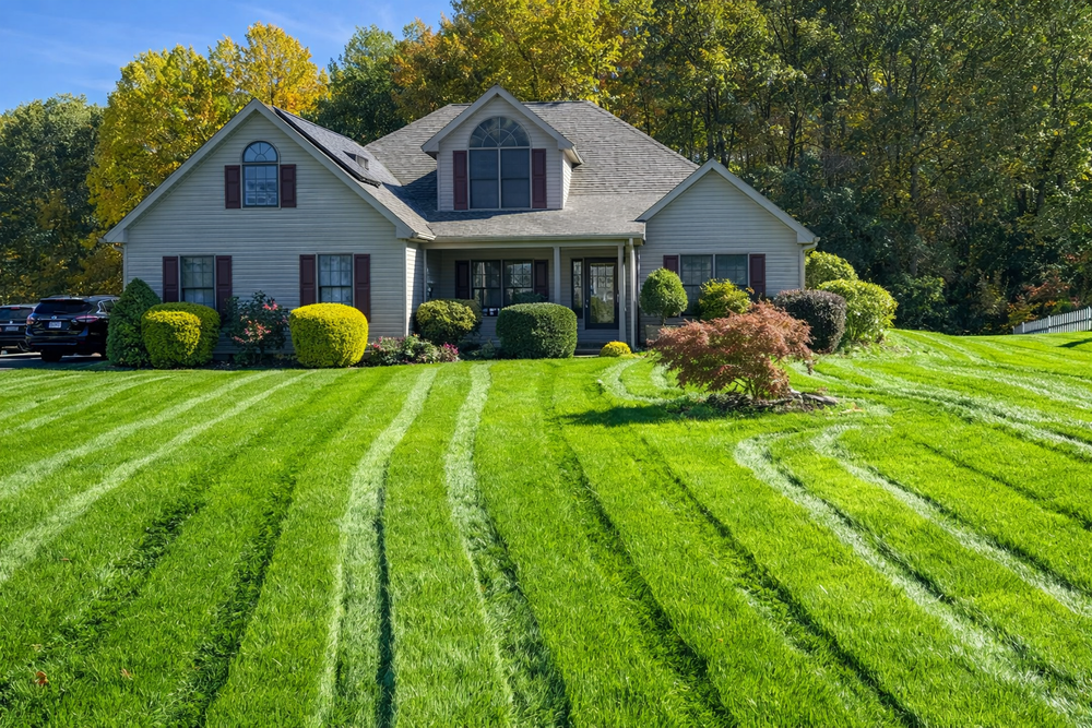 All Photos for Solid Ground Outdoor Living Solutions in Seaford, DE