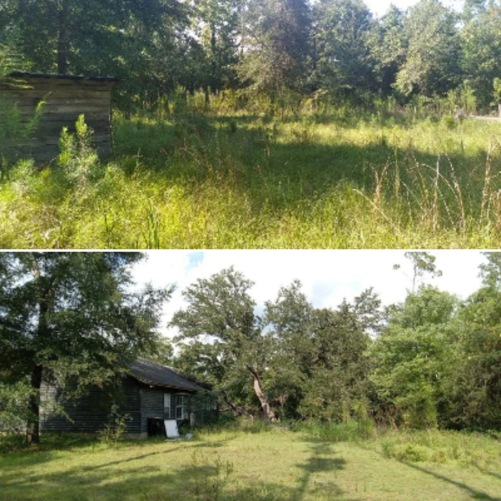 All Photos for Landrum’s Lawn & Tractor Services in Blountstown, FL