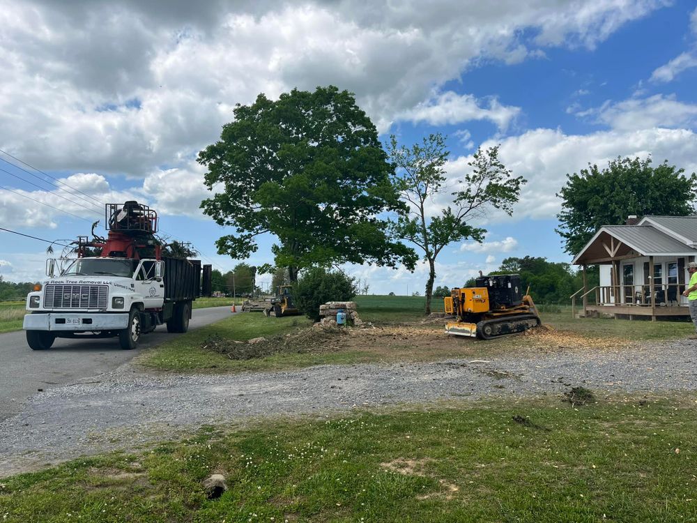 Tree Removal for Big Rock Tree Removal LLC in Boaz, AL