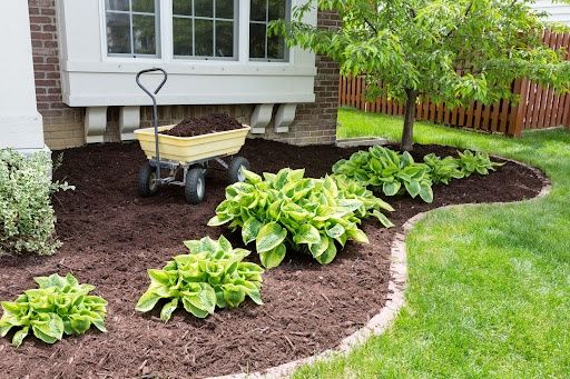All Photos for Green Lawn Care in Ambler, PA