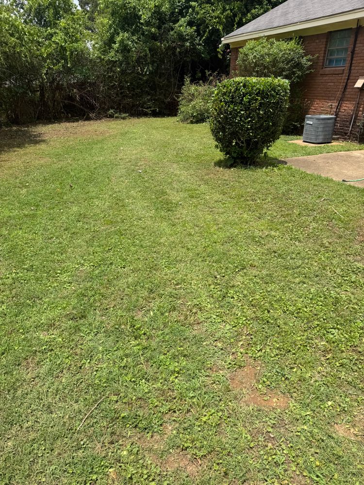 All Photos for Kingdom Landscaping in Memphis, TN