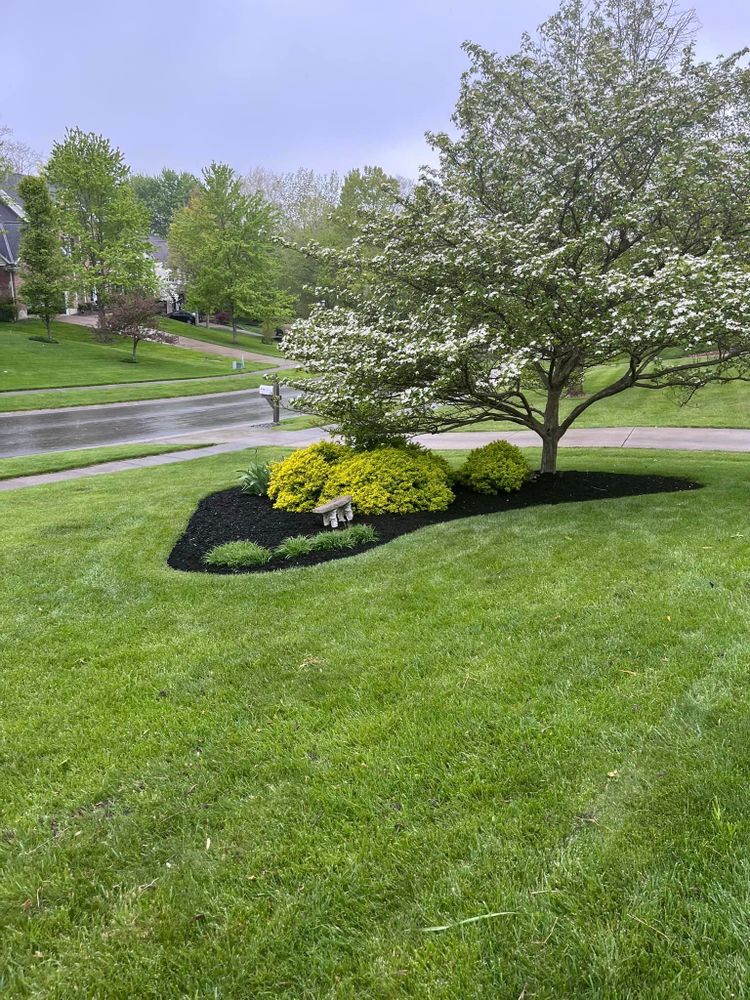 Fall and Spring Clean Up for Cincinnati’s Finest Landscape Services LLC in Cincinnati, OH