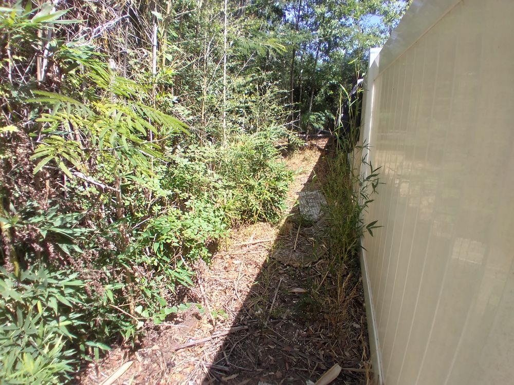 All Photos for Landrum’s Lawn & Tractor Services in Blountstown, FL