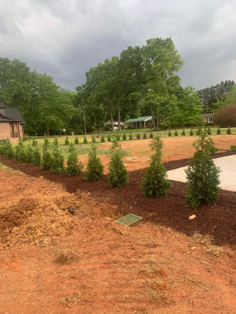 Landscaping for DLS Landscaping in Charlotte, NC