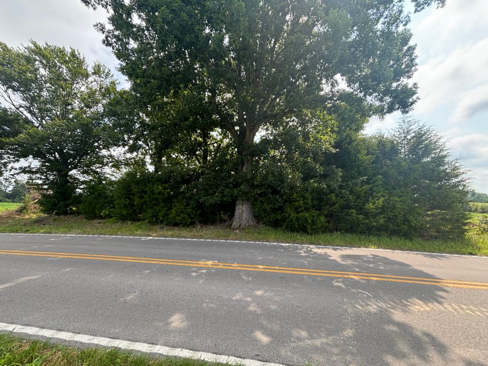 All Photos for Gregory Grass and Lawn in Lafayette, TN