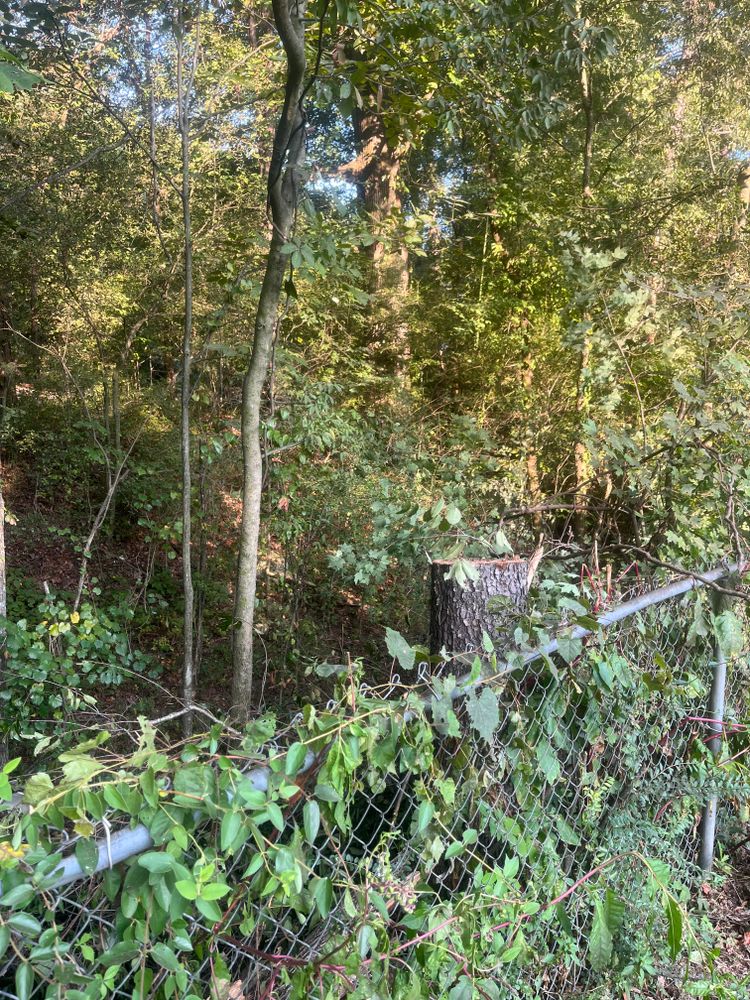 All Photos for J.P Landscaping and excavation in Chattanooga, TN