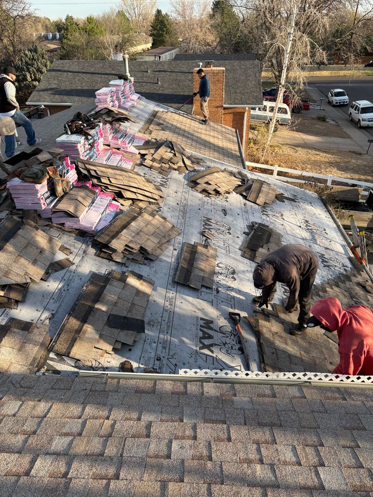 All Photos for Divine Roofing LLC in Severance, CO