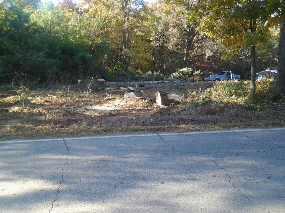 Tree Services for Wofford's Grading Clearing and Landscaping in Milton, GA