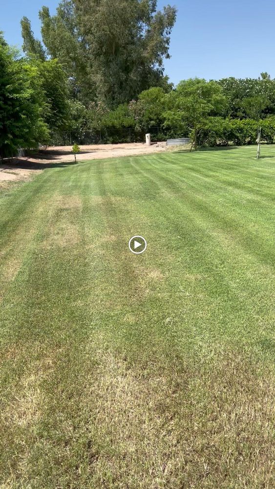 Commercial Lawn Maintenance for American Dream Landscape Company in Surprise, AZ