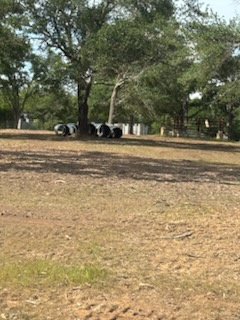 All Photos for JM Services in Woodville, TX