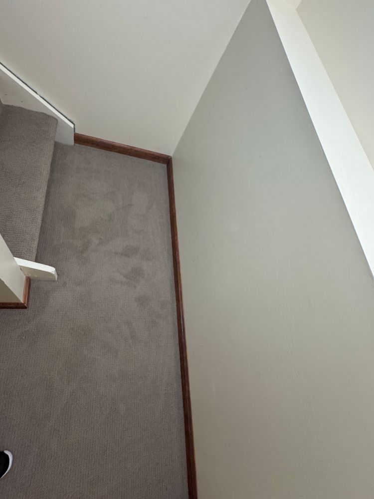 All Photos for Finnegan Flooring in Elkton, MD
