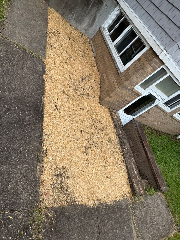 All Photos for Cam Yardz in Washington, PA