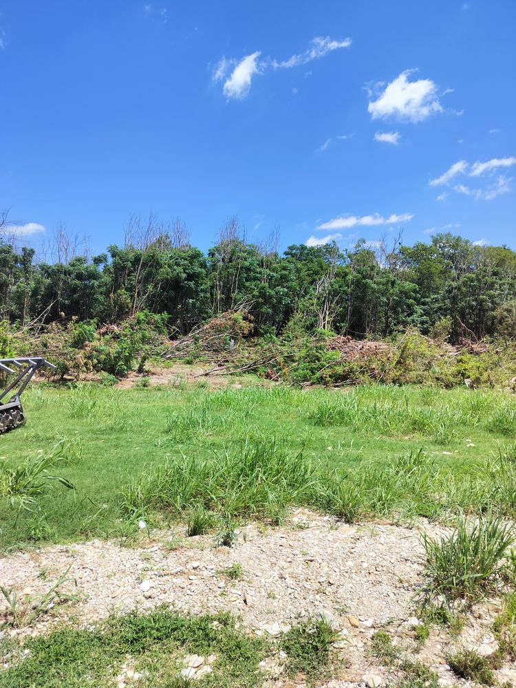 All Photos for 512 Land Clearing in Blanco County, TX