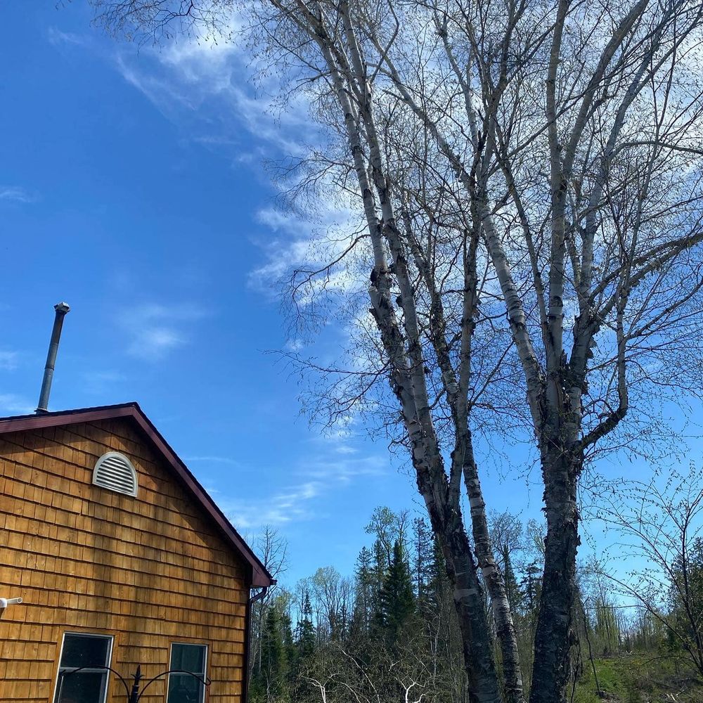 All Photos for Bear Creek Tree Service LLC in Rudyard, MI