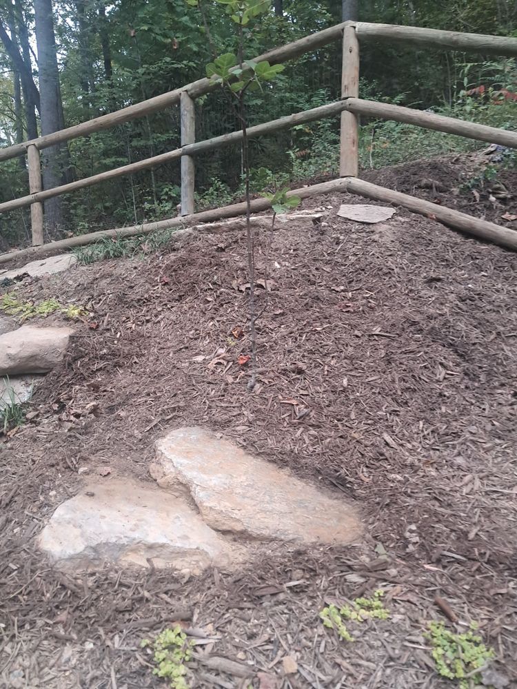 All Photos for Rescue Grading & Landscaping in Marietta, SC
