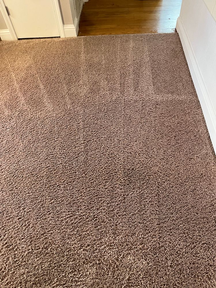 Carpet Cleaning for Randy’s Janitorial in Vallejo, CA