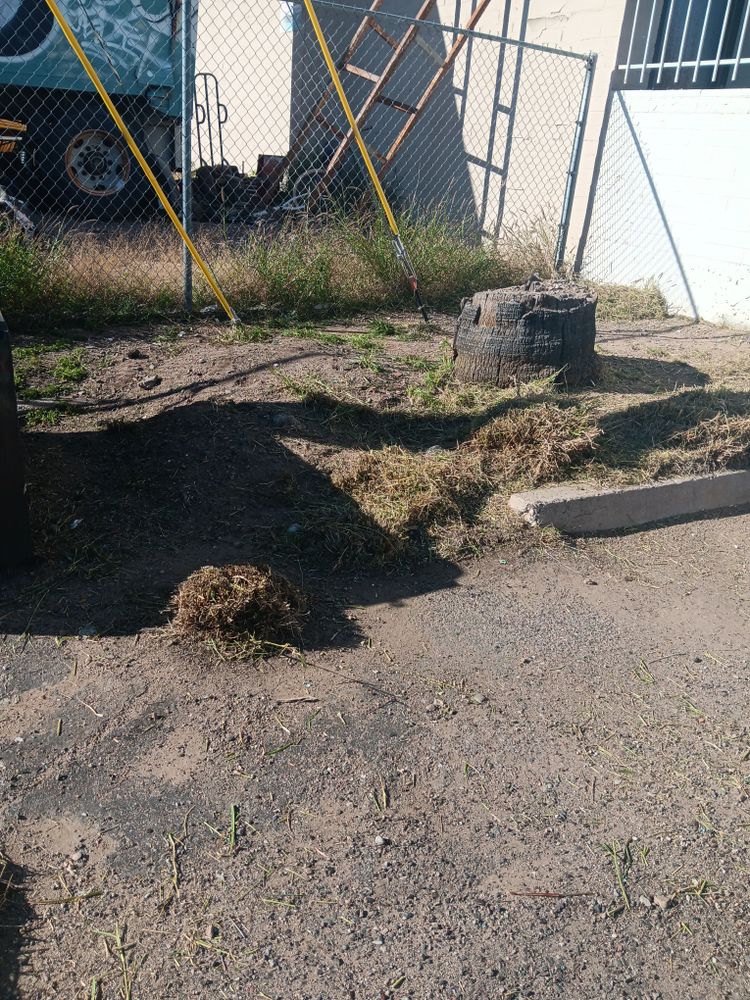 All Photos for Family Landscaping in Phoenix, AZ