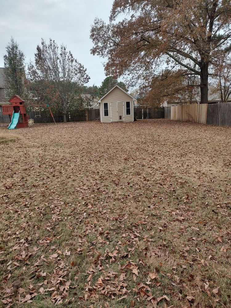 Landscaping for Cutting Edge Lawn Care in Fayetteville, NC