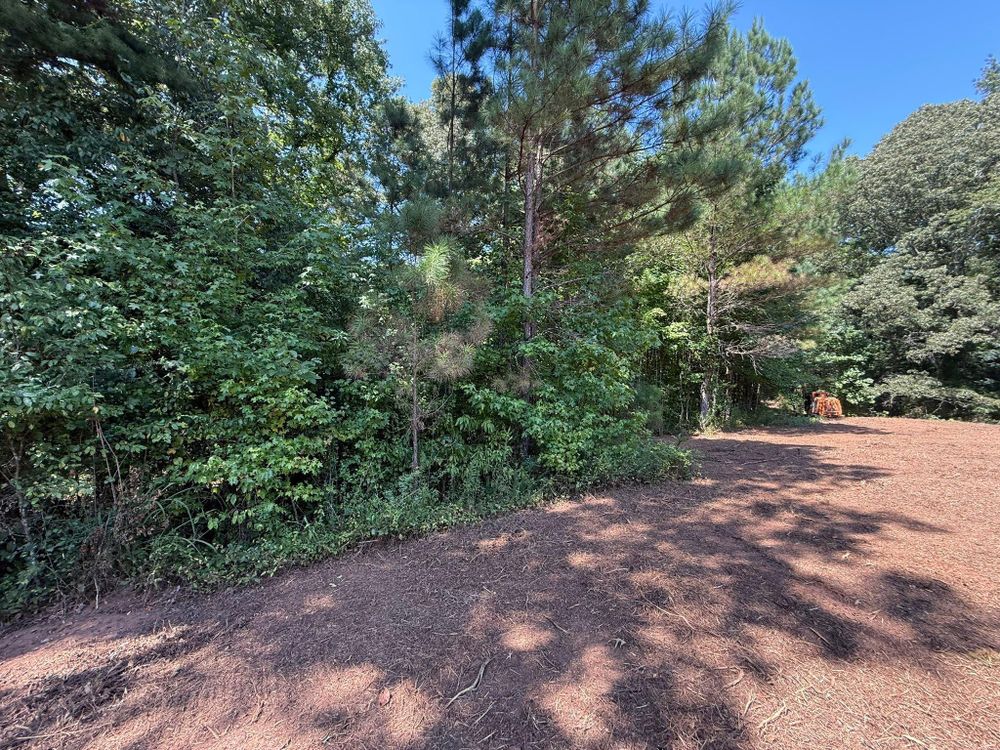 All Photos for Mud Creek Vegetation Management in Russellville, AL