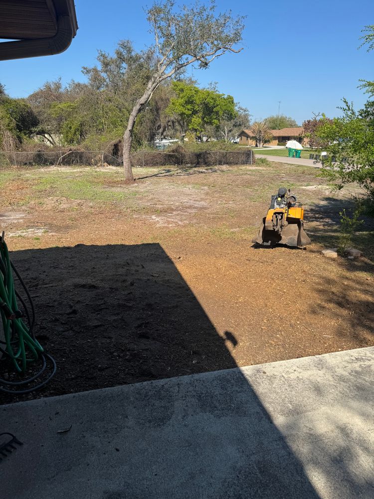 All Photos for Rize N’ Grind  in Punta Gorda, FL