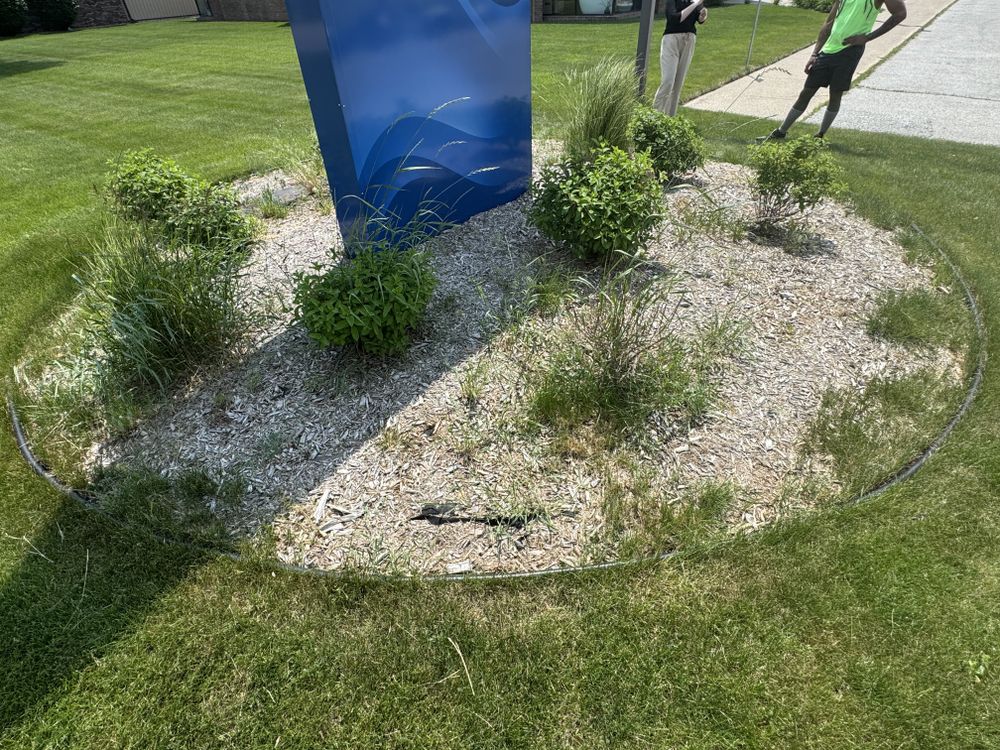 Landscaping Lawn Care for Daugherty's Tough Lawn Care in Essexville, MI