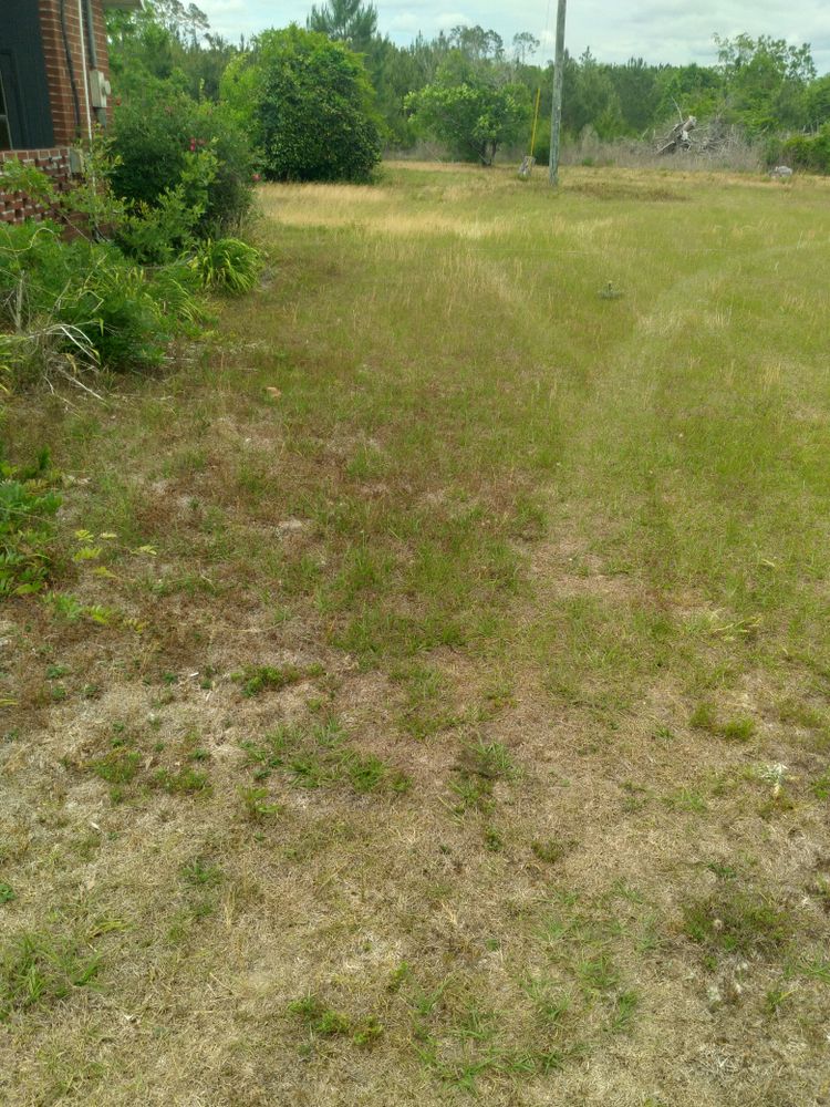 All Photos for Landrum’s Lawn & Tractor Services in Blountstown, FL