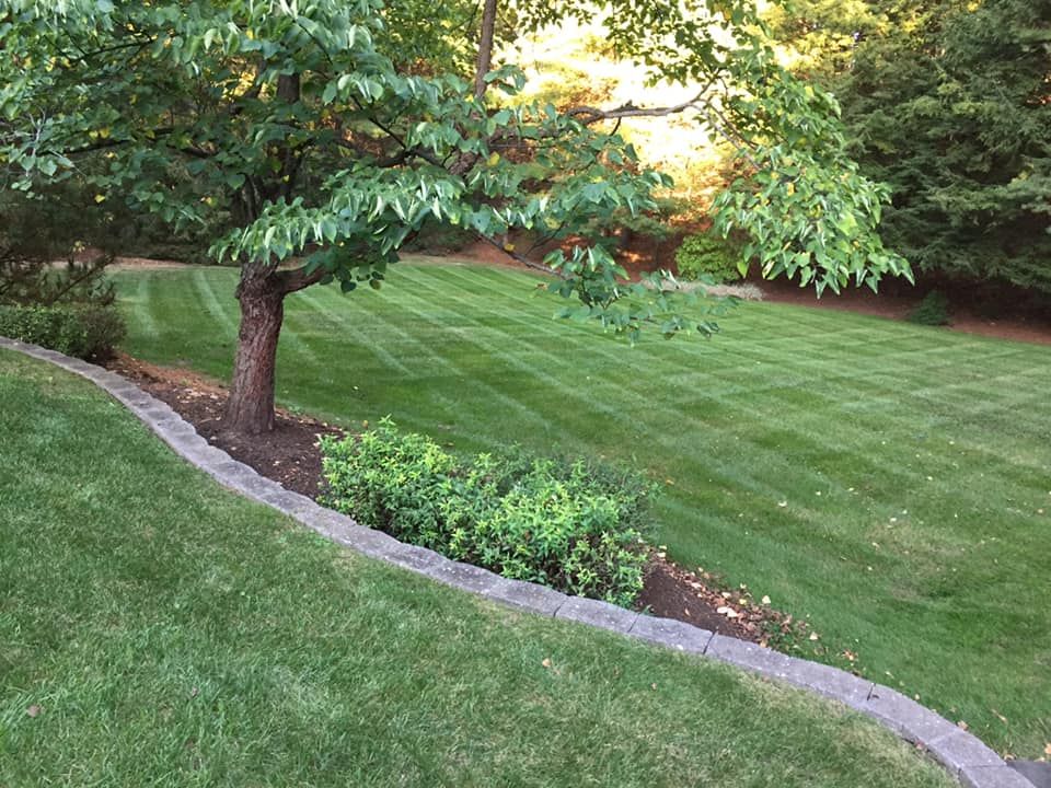 All Photos for LD Professional Lawn Care in Lancaster, MA