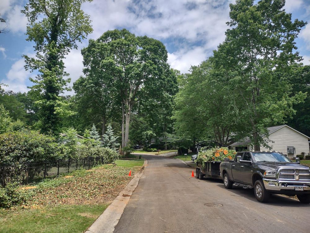 Tree Removal for Ross Property Service in Fayette County, GA