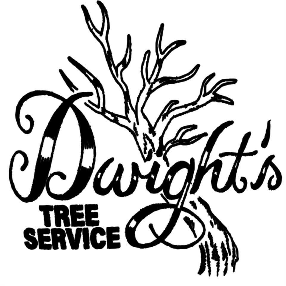 Dwights Tree Service LLC team in Middleborough, MA - people or person
