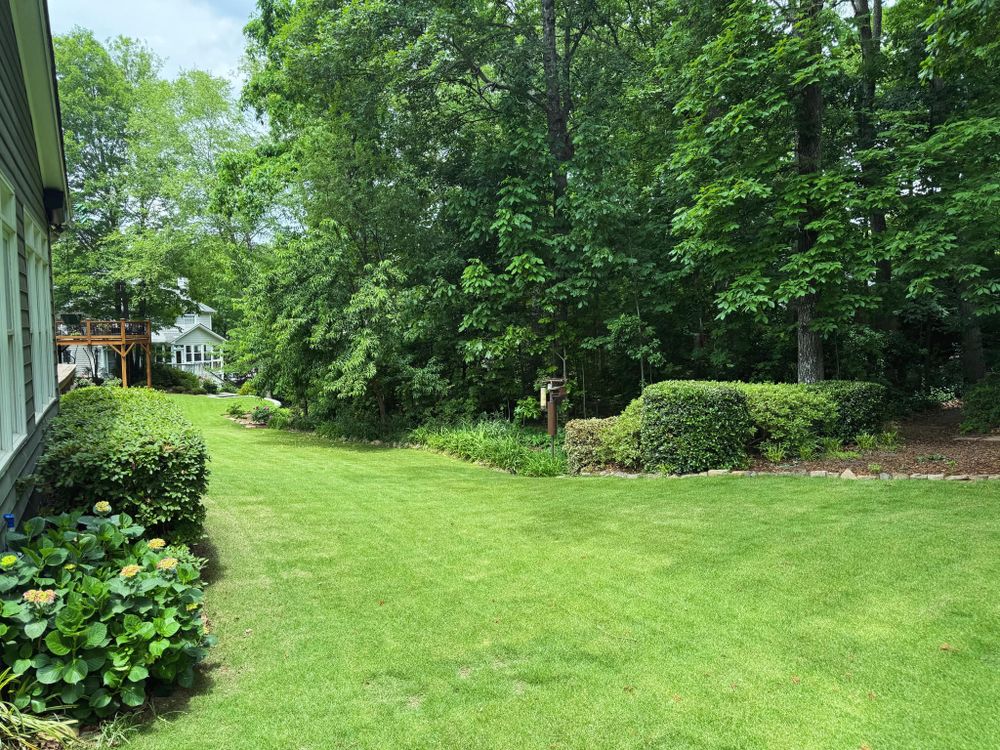 Our Soil Testing service provides homeowners with detailed analysis of their soil's nutrient levels, pH balance, and texture to help optimize lawn health and achieve lush green grass. for Allatoona Turf in Woodstock, GA