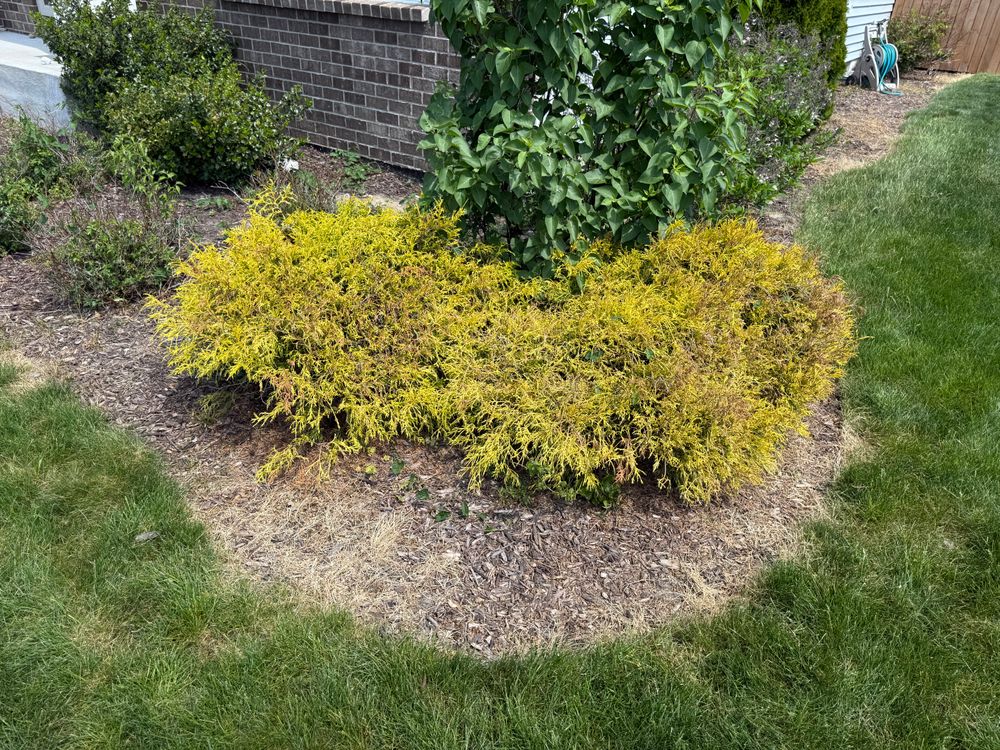 All Photos for Bearforce Lawn Care LLC in Greenfield, IN