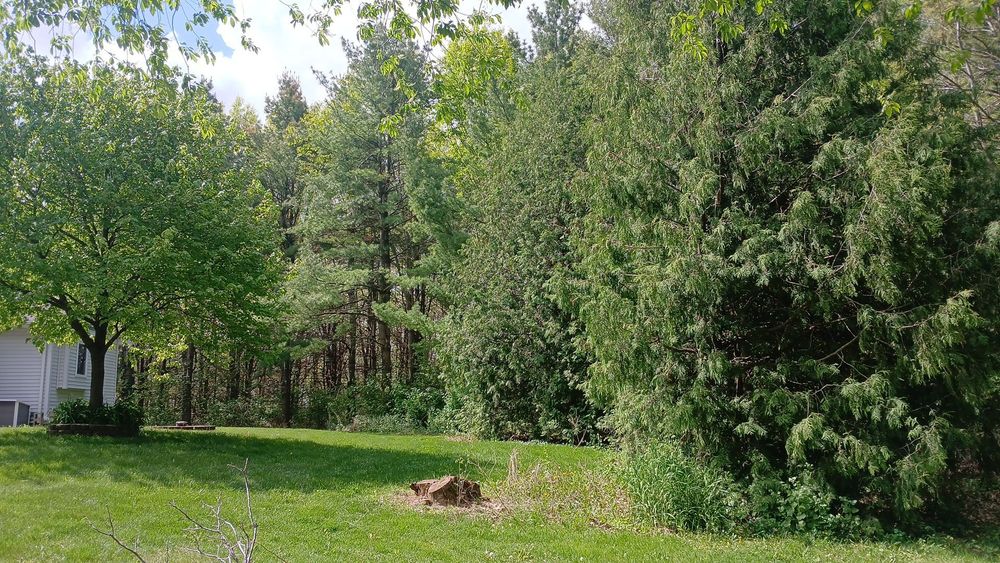 Our expert Lawn Care service ensures a lush, healthy lawn through precise mowing, fertilization, and weed control. We enhance your landscape's beauty and value with personalized care for vibrant outdoor living spaces. for Willing Trucking & Excavating in Evansville, WI