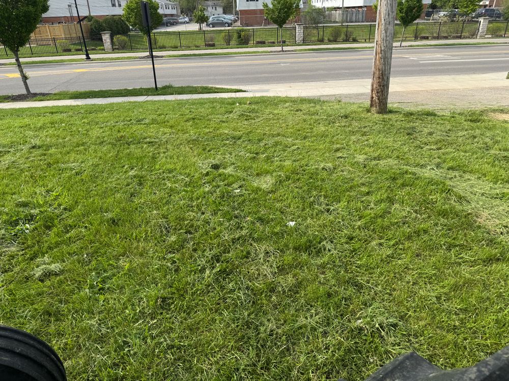 All Photos for A1 Bush Hogging & Lawn Service in Columbus, OH