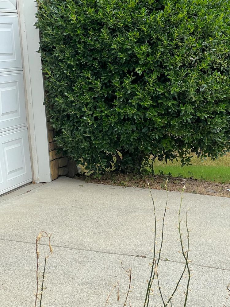 All Photos for Williams Brothers Landscaping & Construction in Atlanta, GA