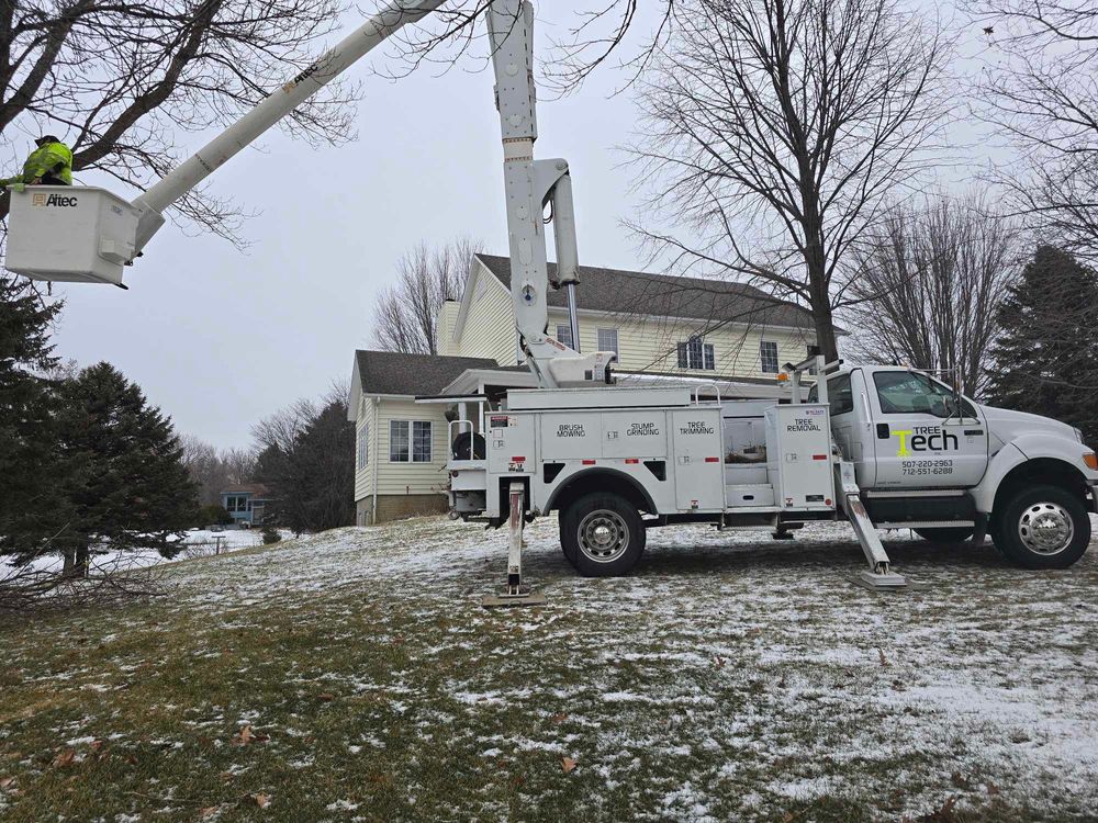 Tree Removal for Tree Tech in Luverne, MN