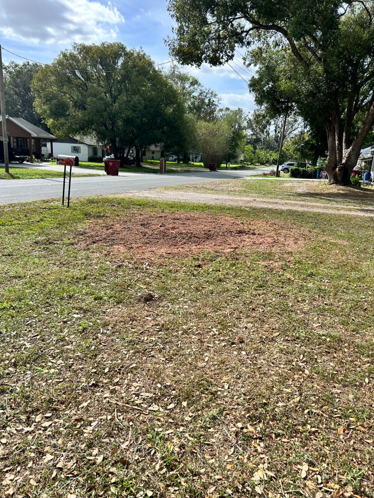 All Photos for Greene Acres Stump Grinding in Plant City, FL