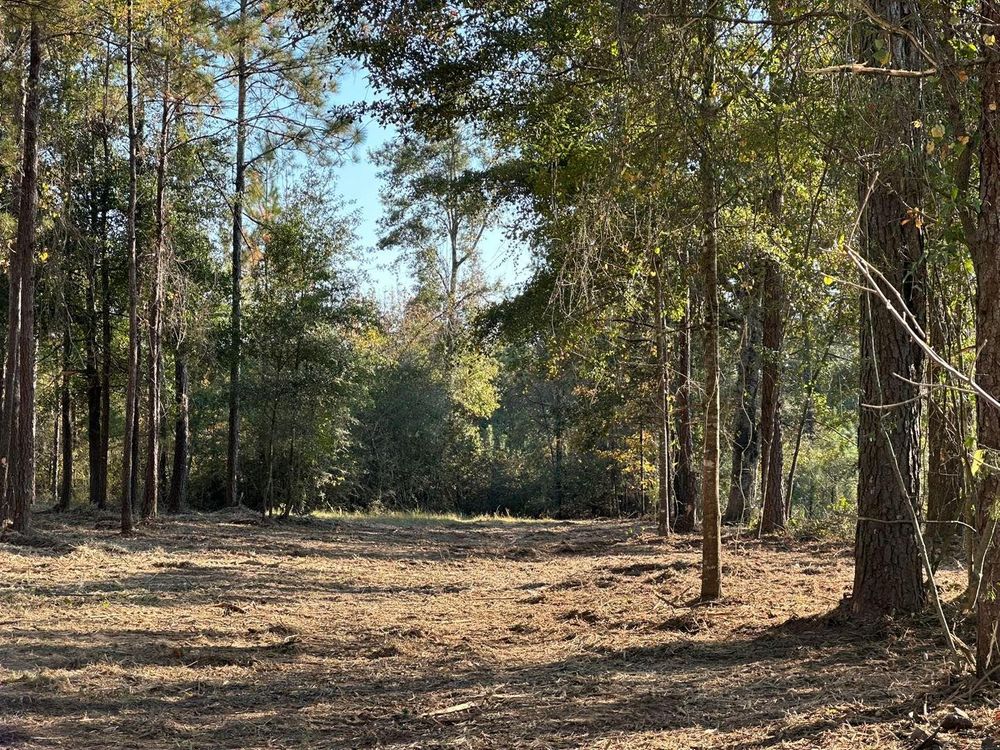 All Photos for White’s Land Maintenance in Milton,, FL