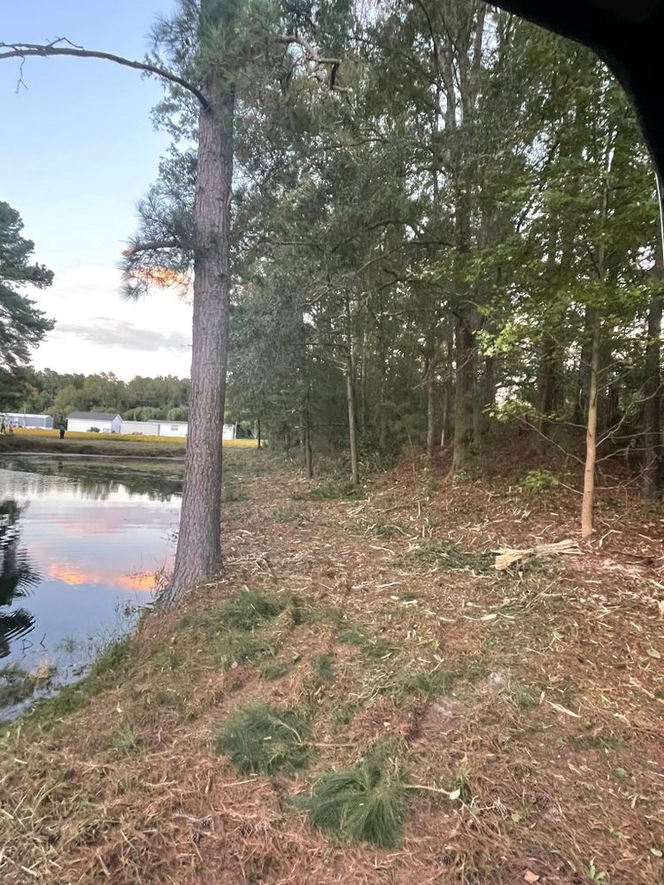 All Photos for Barnhill land clearing LLC in Horry County, SC