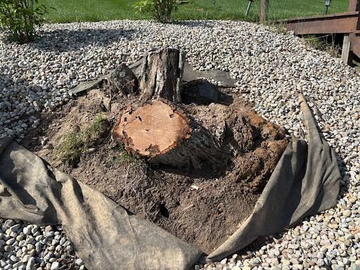 All Photos for Conrad's Stump Removal in Columbus, IN