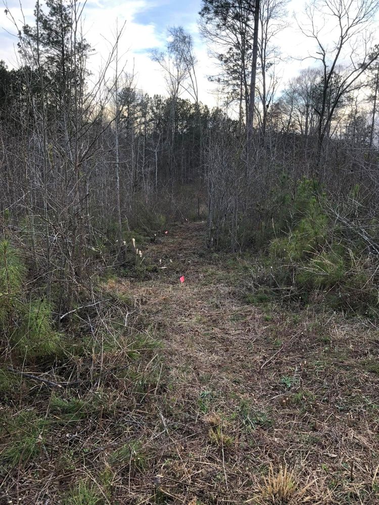 Our Brush Management service efficiently clears overgrown areas, enhancing property aesthetics and reducing fire hazards. We use advanced techniques to ensure your land is safe, clean, and ready for any landscape project. for Patriot Grading and Materials in Villa Rica, GA