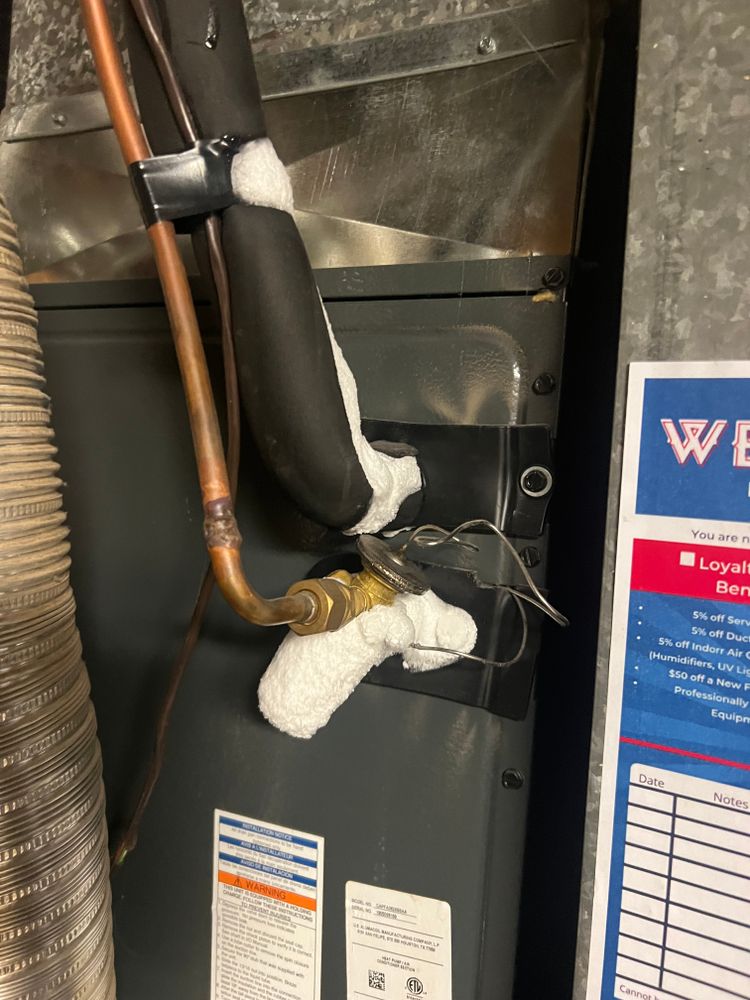 All Photos for Platinum Lawn Service in Santaquin, UT