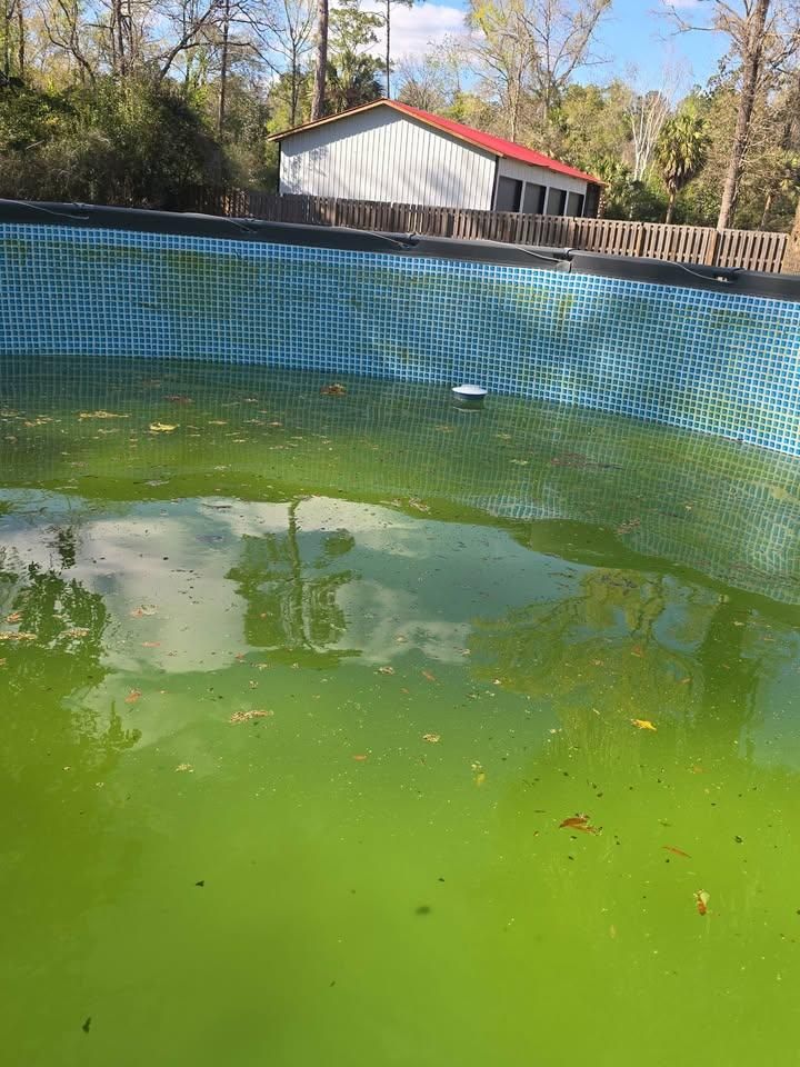 All Photos for Down & Dirty Pool Service in Crawfordville, FL
