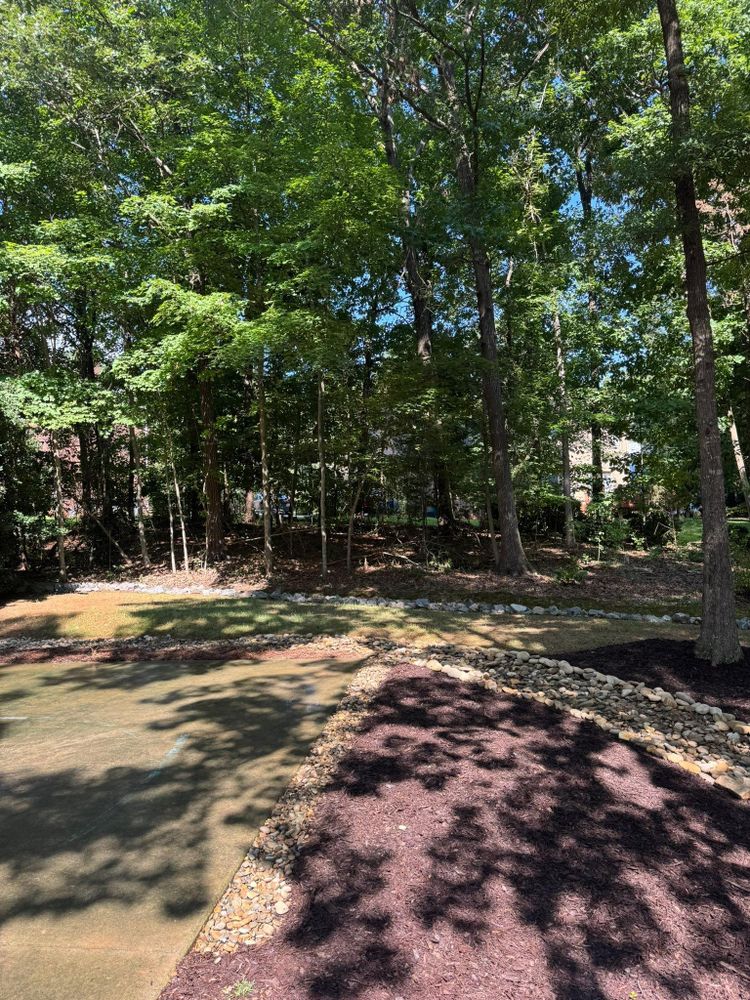 All Photos for Southern Turf & Landscape in Concord, NC