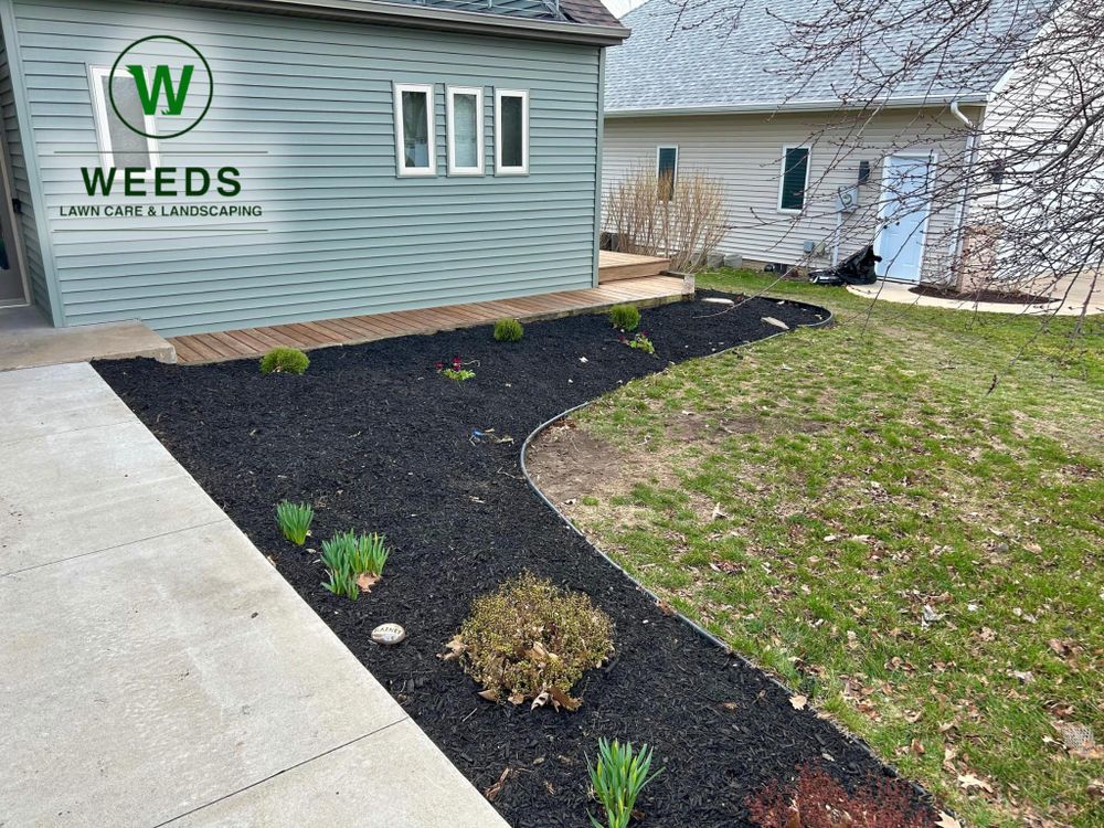 All Photos for Weeds Lawn Care & Landscaping LLC  in Hiawatha, IA