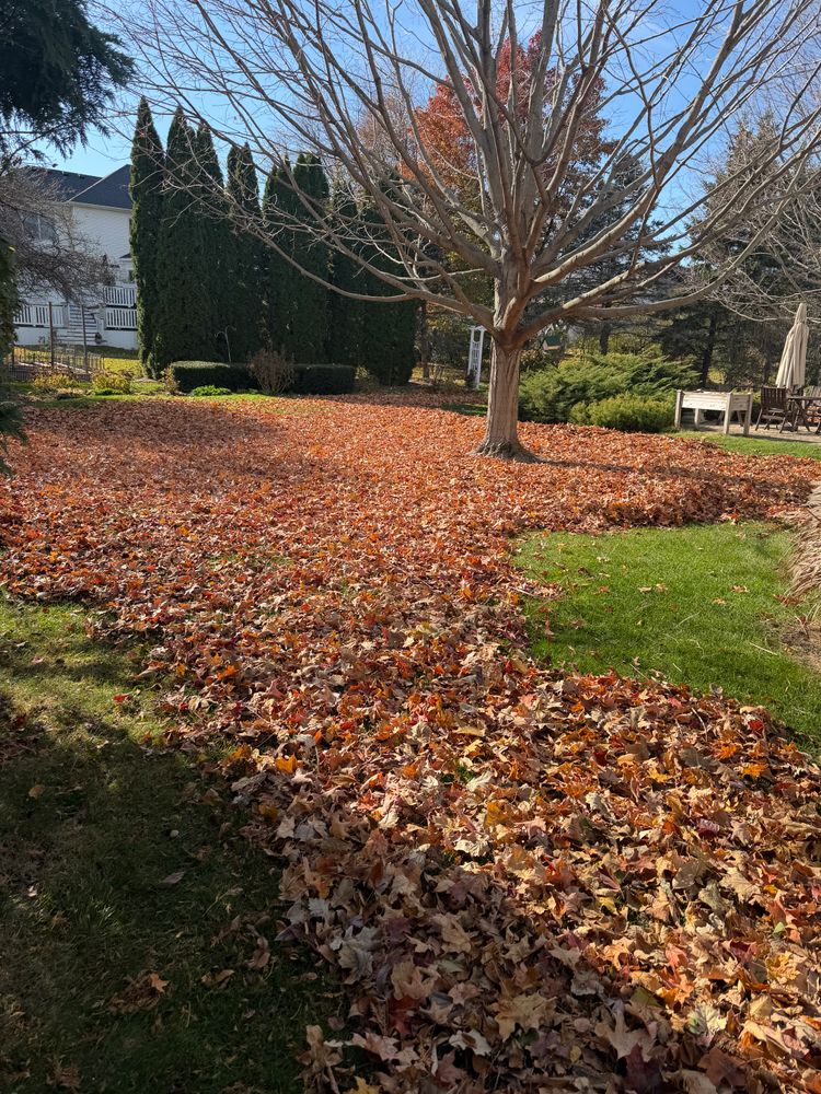 All Photos for R&L Deluxe Landscaping in Hanover Park, IL