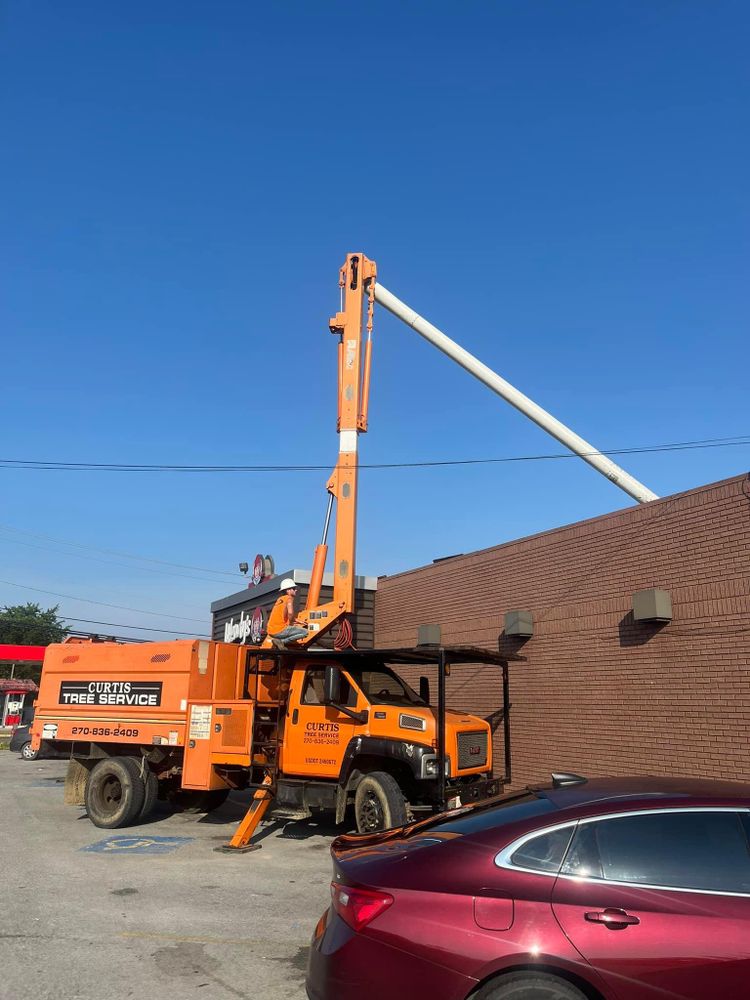 All Photos for Curtis Tree Service LLC in Hopkins County, KY
