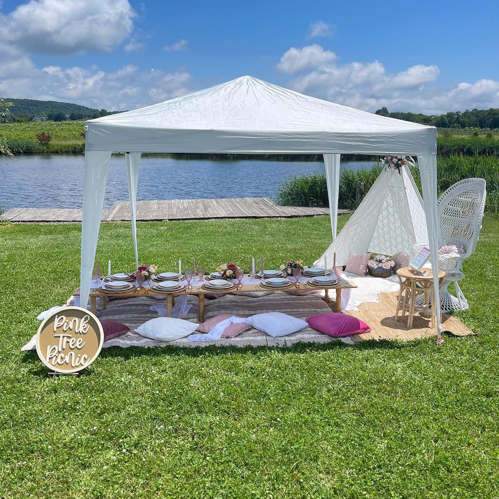 Luxury Picnic for Pink Tree Picnic in Bethel, CT