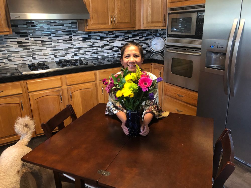 All Photos for CSI of Chicago in Springfield, IL